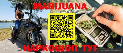 сатива Краснодар