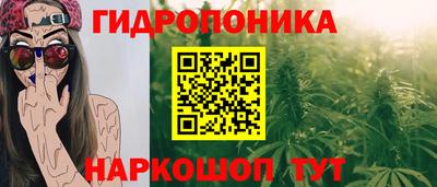 сатива Краснодар