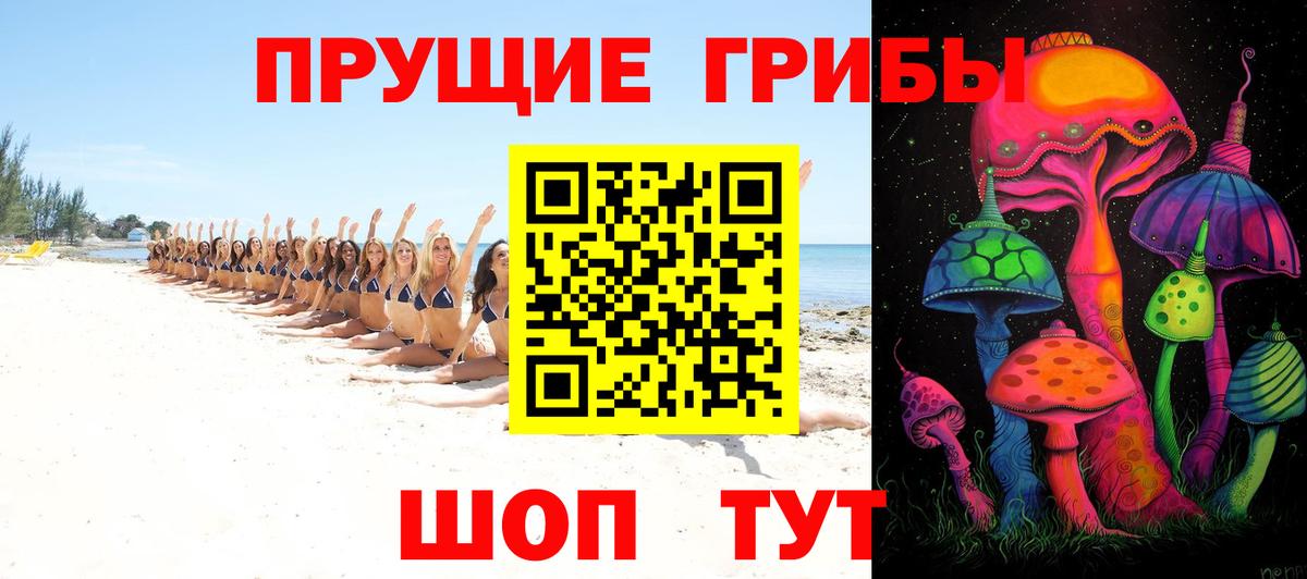 Псилоцибиновые грибы мухоморы Касимов