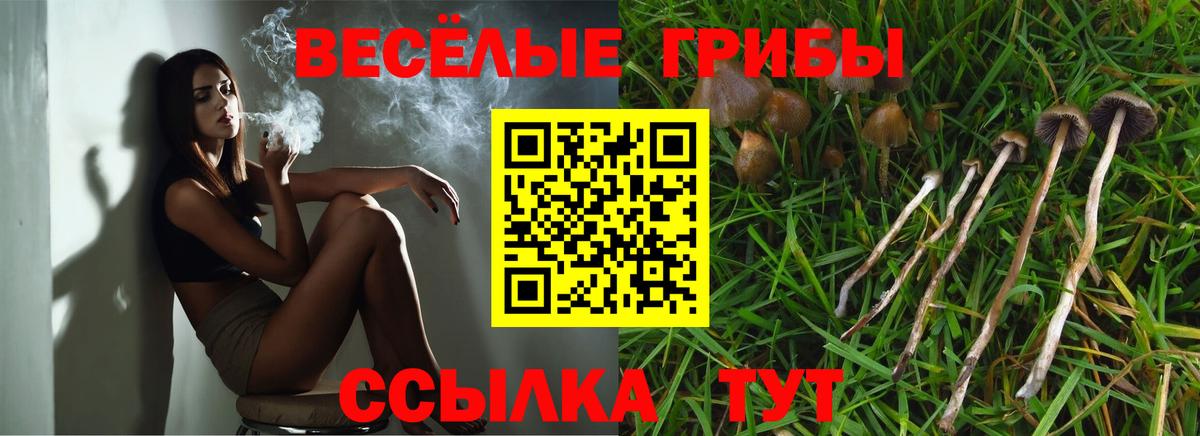 Касимов  Псилоцибиновые грибы прущие грибы  Вход с VPN 
